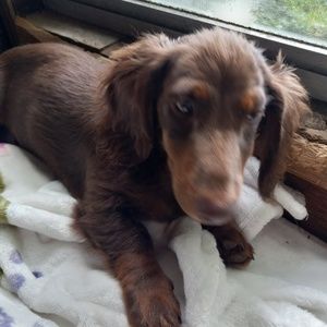 Meet your Posher, Myra